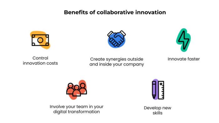 The importance of Innovation in co-development software