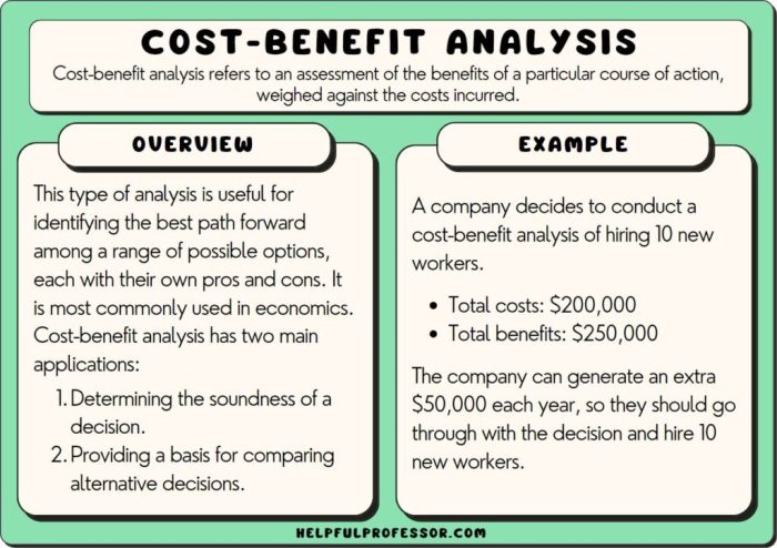 The importance of Cost-Benefit Analysis in co-development software