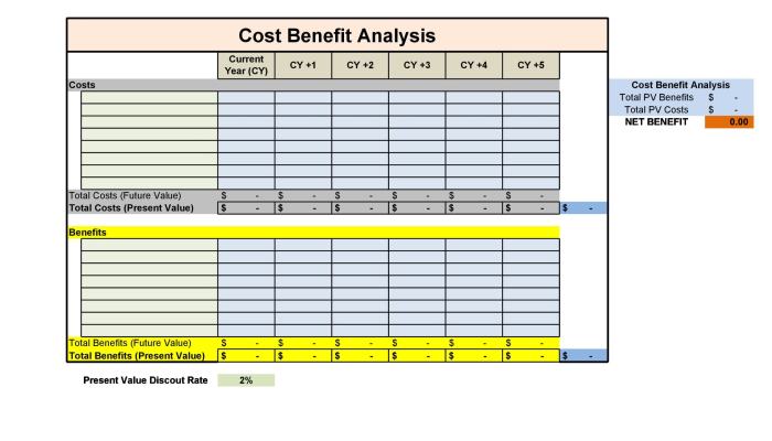 The importance of Cost-Benefit Analysis in co-development software