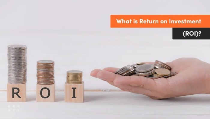 The importance of Return on Investment in co-development software