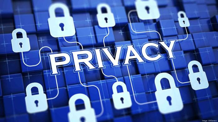 The importance of Data Privacy Laws in co-development software