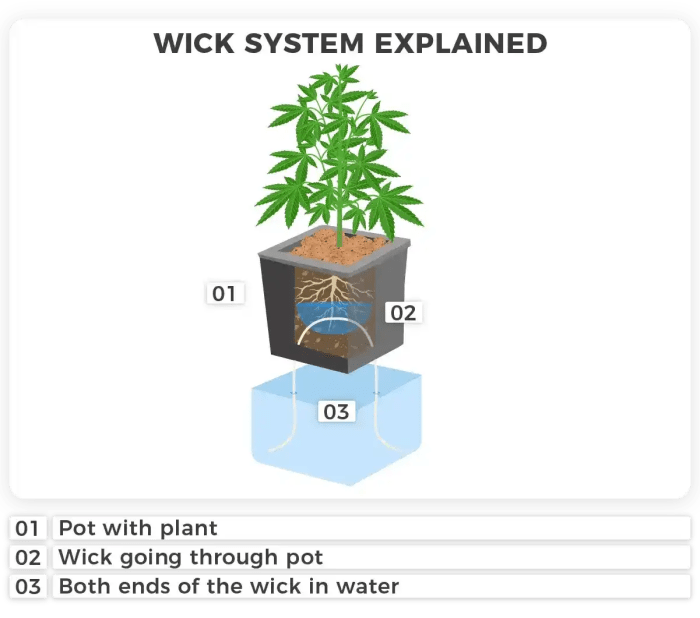 Plants watering holiday while self water visit plant system vegetables planter