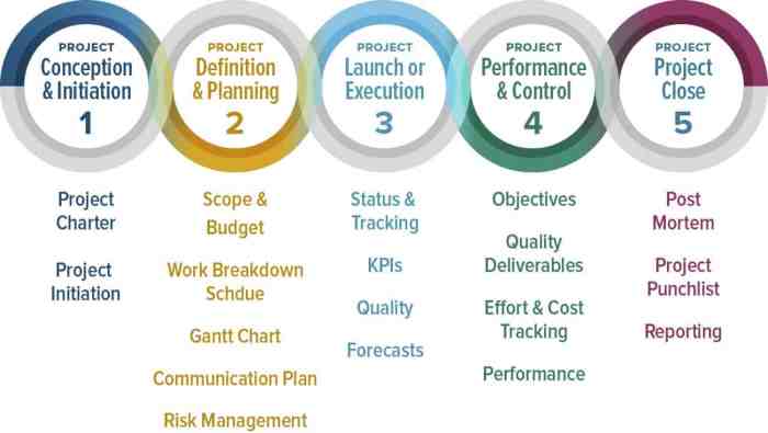 The importance of Project Management in co-development software