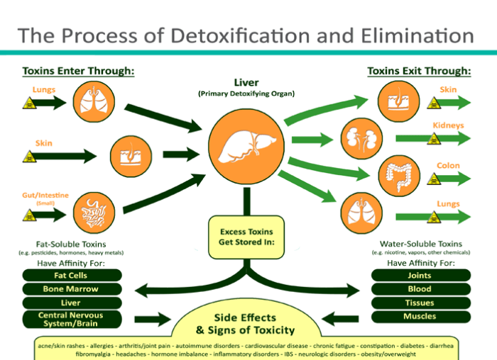 Fastest way to detox thc