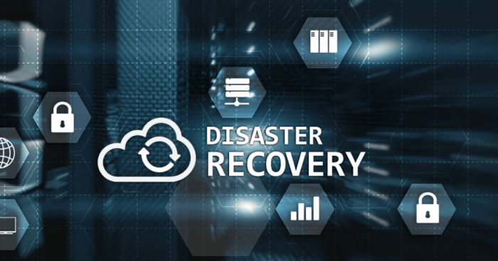 The importance of Disaster Recovery in co-development software