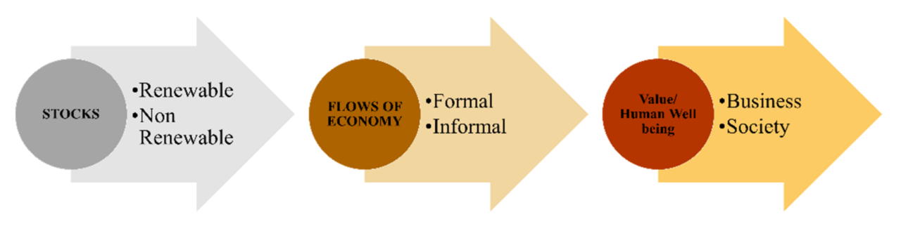 Earth control measure and Natural Capital