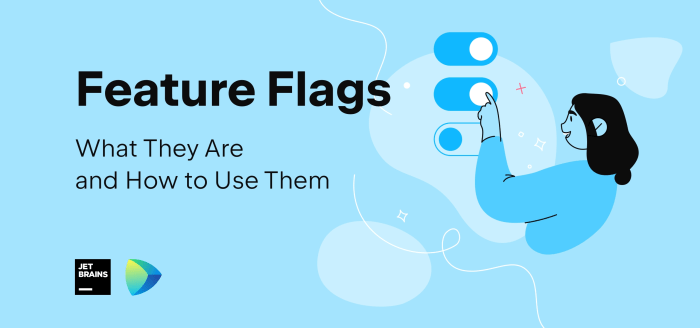 The importance of Feature Flags in co-development software