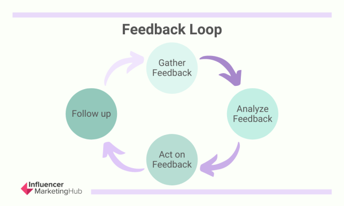 The importance of Feedback Loops in co-development software