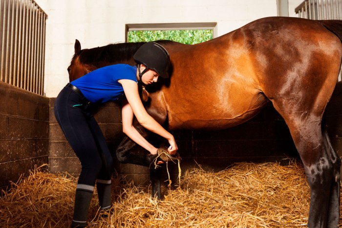 Best way to store a horse saddle