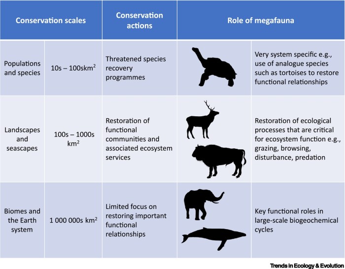 Biodiversity conservation