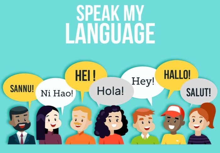 The importance of Language Barriers in co-development software