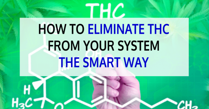 Best way to detox thc