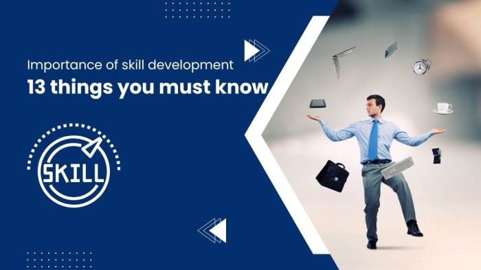 The importance of Skill Development in co-development software