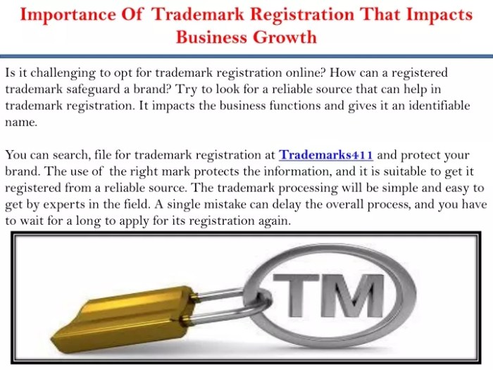 The importance of Trademark in co-development software