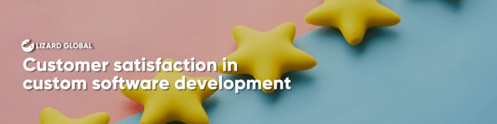 The importance of Customer Satisfaction in co-development software