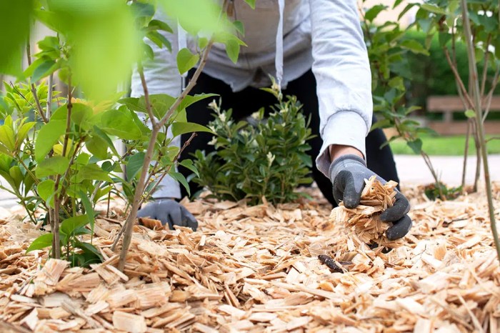 Best way to kep weeds from growing in mulch