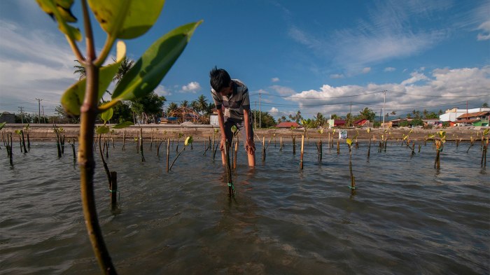 Earth control measure and Climate Change Adaptation