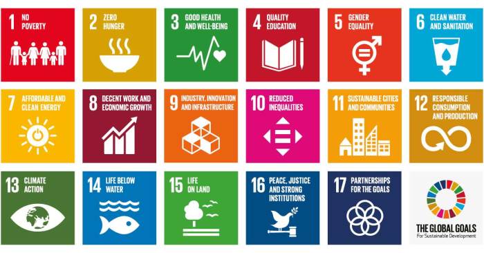 Earth control measure and Sustainable Development Goals