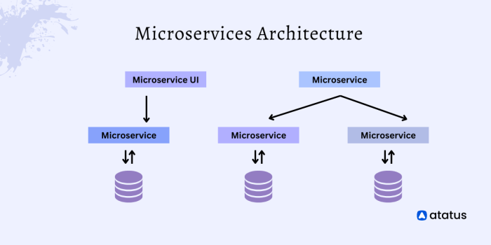 The importance of Microservices Architecture in co-development software