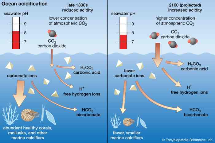 Acidification preventive measures prevent