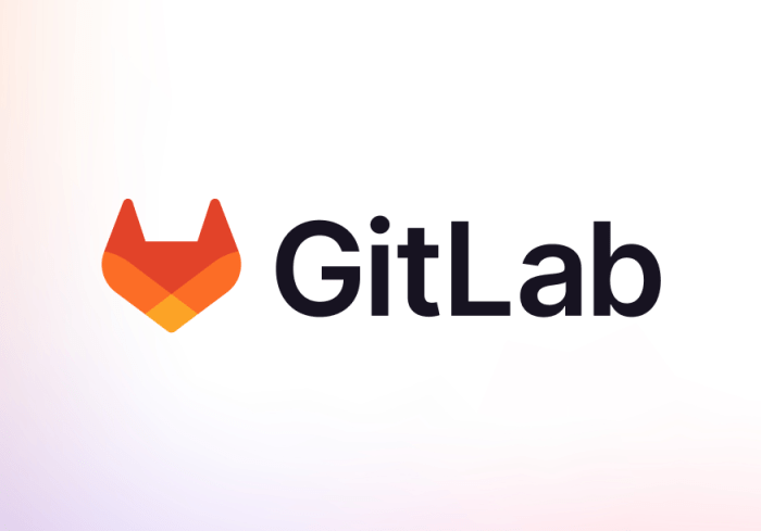 The importance of GitLab in co-development software