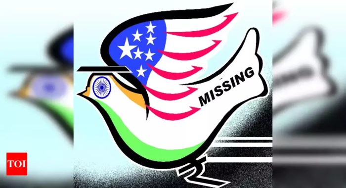 Can indian atrologers help in finding missing people