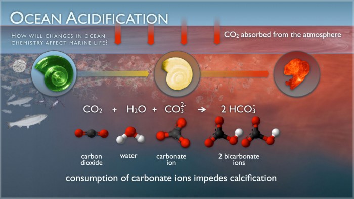 Earth control measure and Ocean Acidification