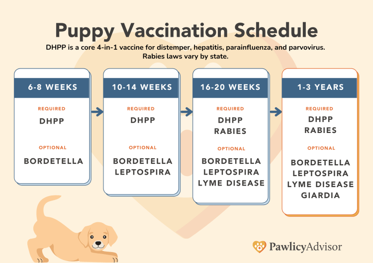 5 way puppy vaccine