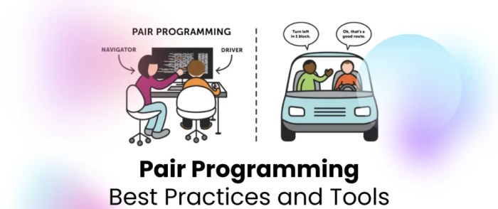 The importance of Pair Programming in co-development software