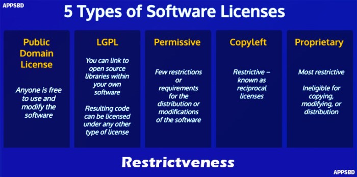 The importance of Proprietary Licensing in co-development software