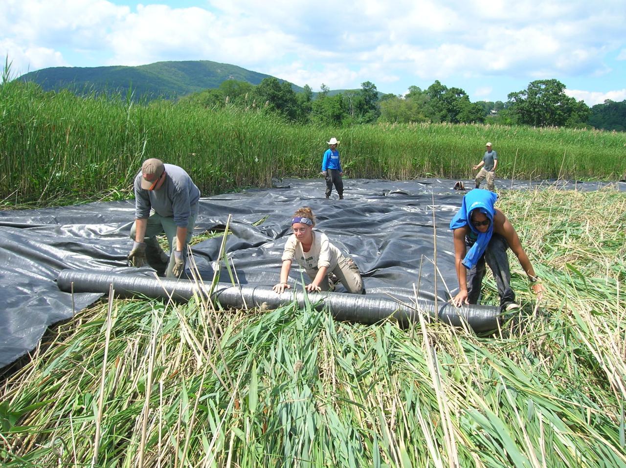 Earth control measure and Invasive Species Control