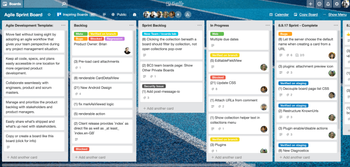 The importance of Trello in co-development software