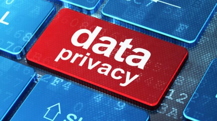 The importance of Data Privacy in co-development software