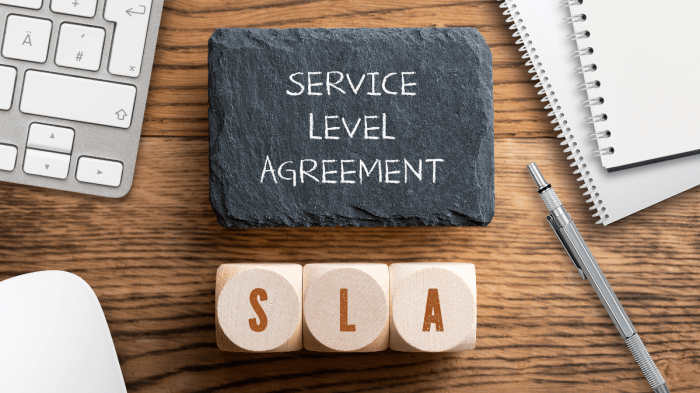 The importance of Service Level Agreements in co-development software