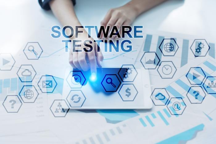 The importance of Security Testing in co-development software