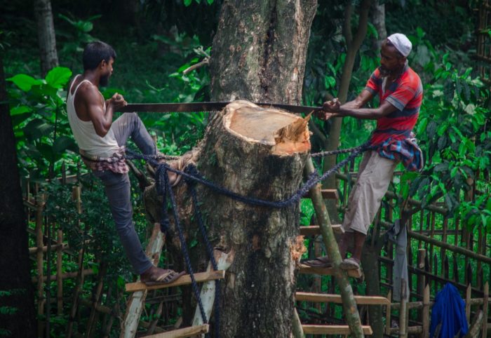 Measures conservation forest discussed life owned selected contractors meeting state