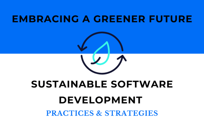 The importance of Environmental Sustainability in co-development software