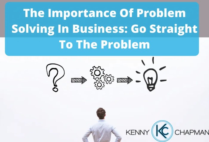 The importance of Problem-Solving in co-development software