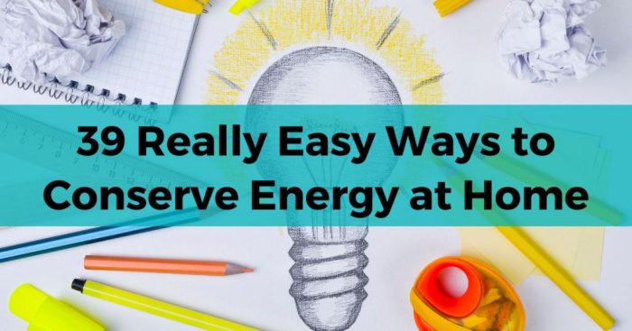 Ways you can convince family to start conserving energy