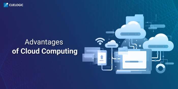 The importance of Cloud Computing in co-development software